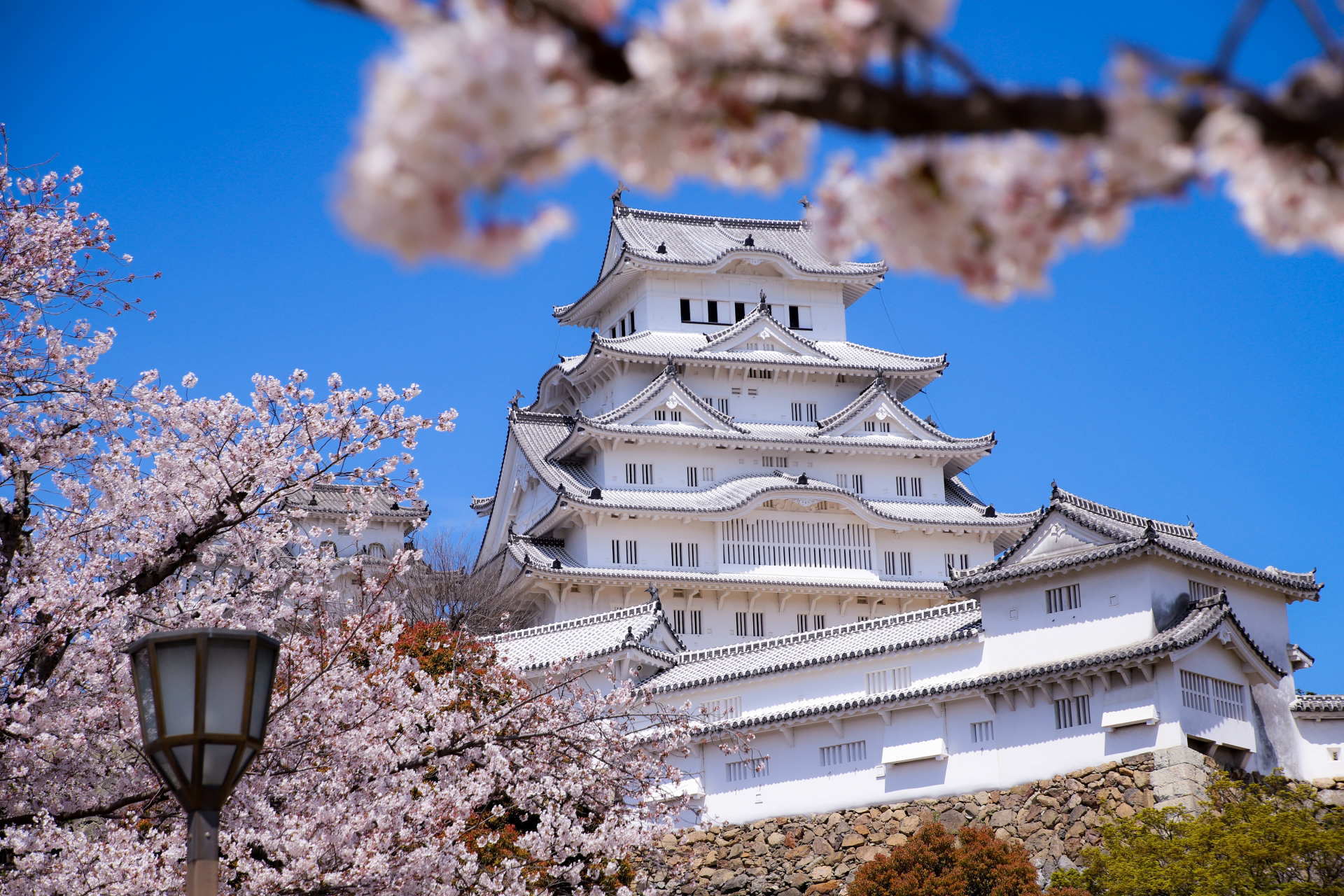Japan Travel Assistance