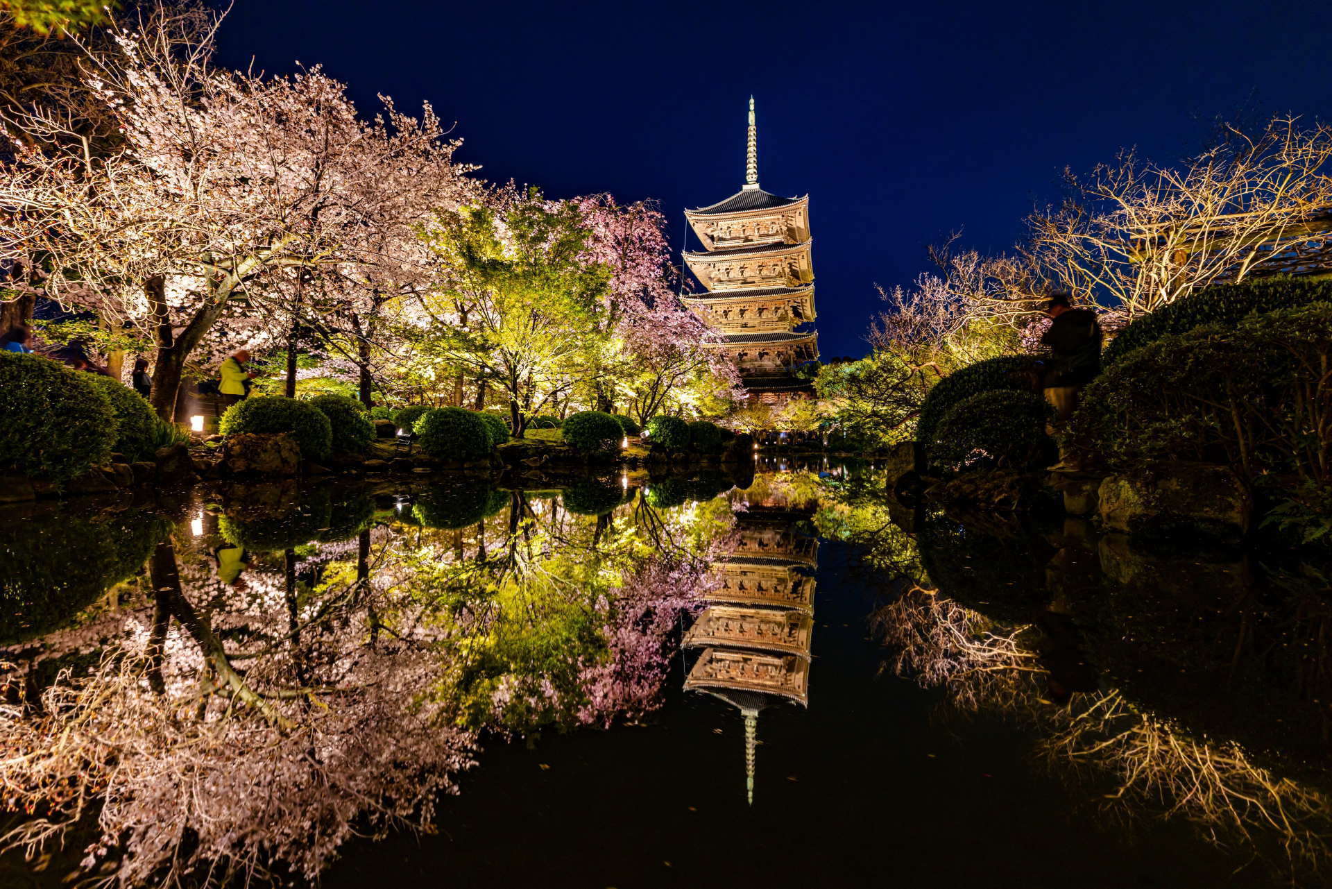 Local & Private Tour Guides in Japan