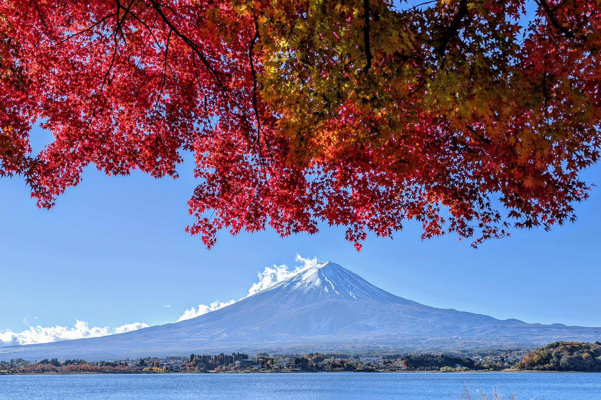 Customized Japan Experiences